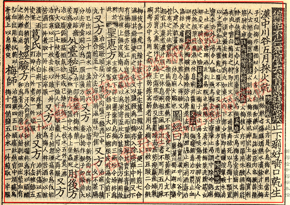 乌梅 宋-《证类本草》 资料图