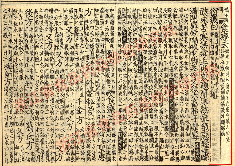 白扁豆 宋-《证类本草》 资料图