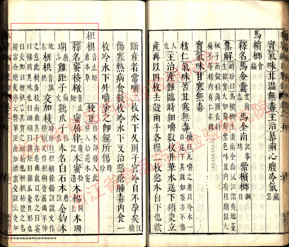 枳椇子 明-《本草纲目》 资料图