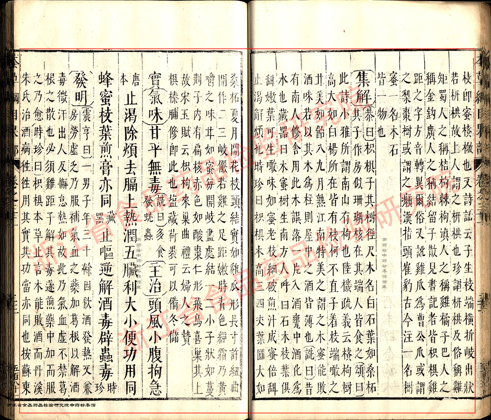 枳椇子 明-《本草纲目》 资料图