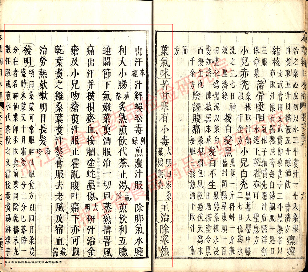 桑叶 明 《本草纲目》 资料图