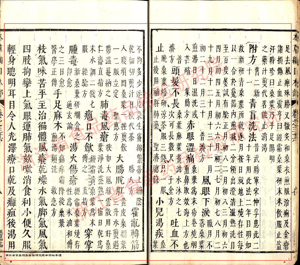 桑叶 明 《本草纲目》 资料图