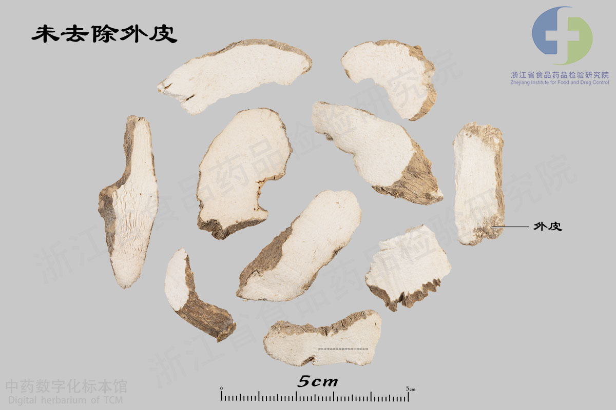 山药 未去除外皮 资料图