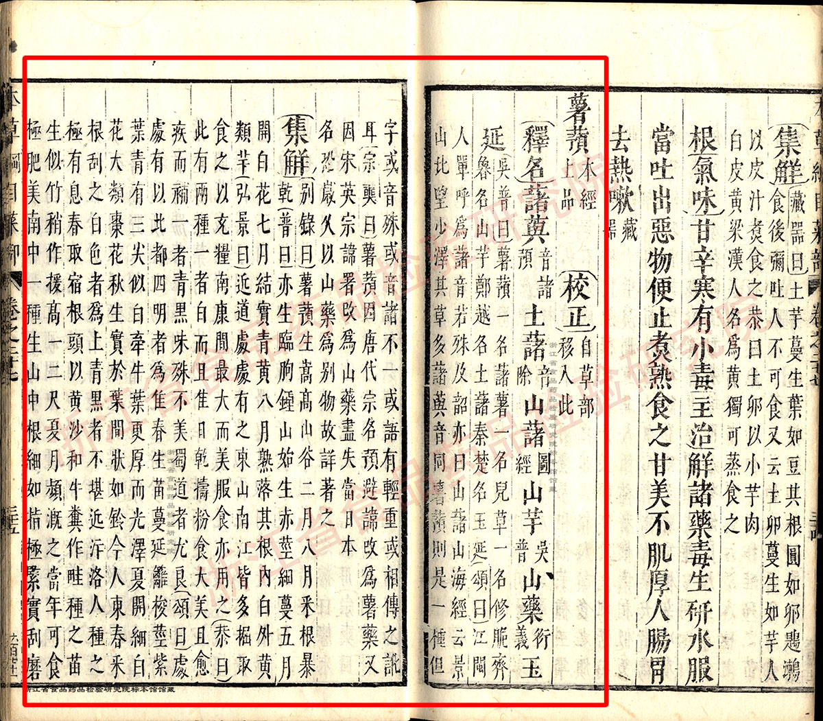 山药 明 《本草纲目》 资料图