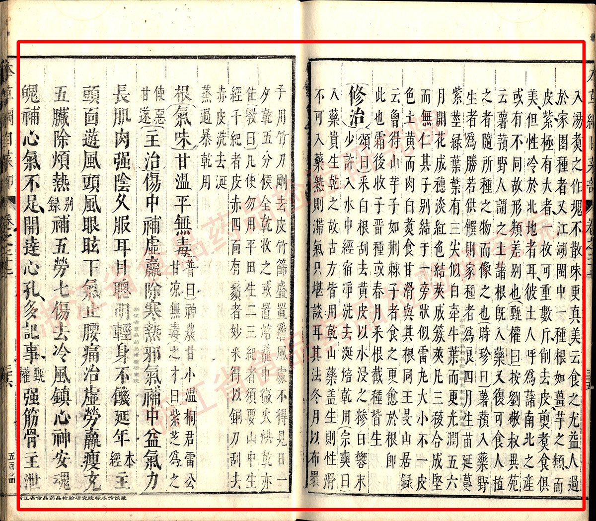 山药 明 《本草纲目》 资料图