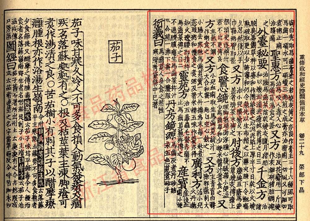 马齿苋 宋-《证类本草》 资料图