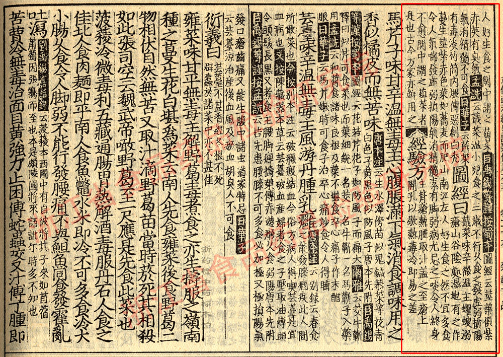 鱼腥草 宋-《证类本草》 资料图