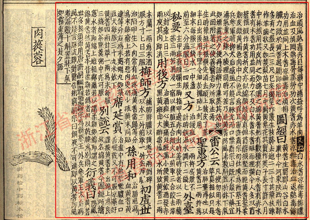 黄芪 宋 《证类本草》 资料图
