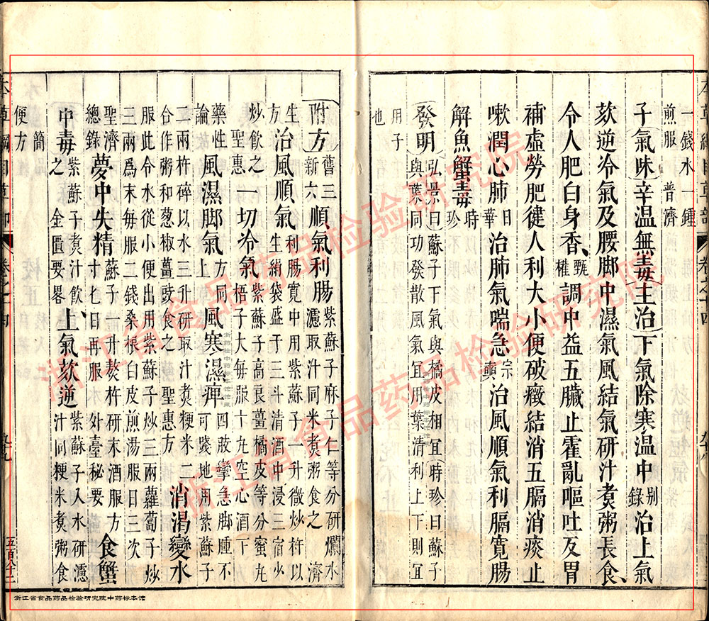 紫苏子 明 -《本草纲目》 资料图