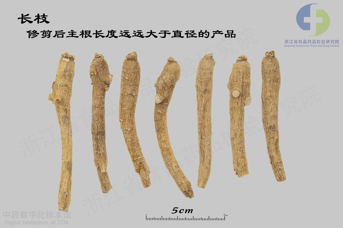 西洋参 常见规格 资料图