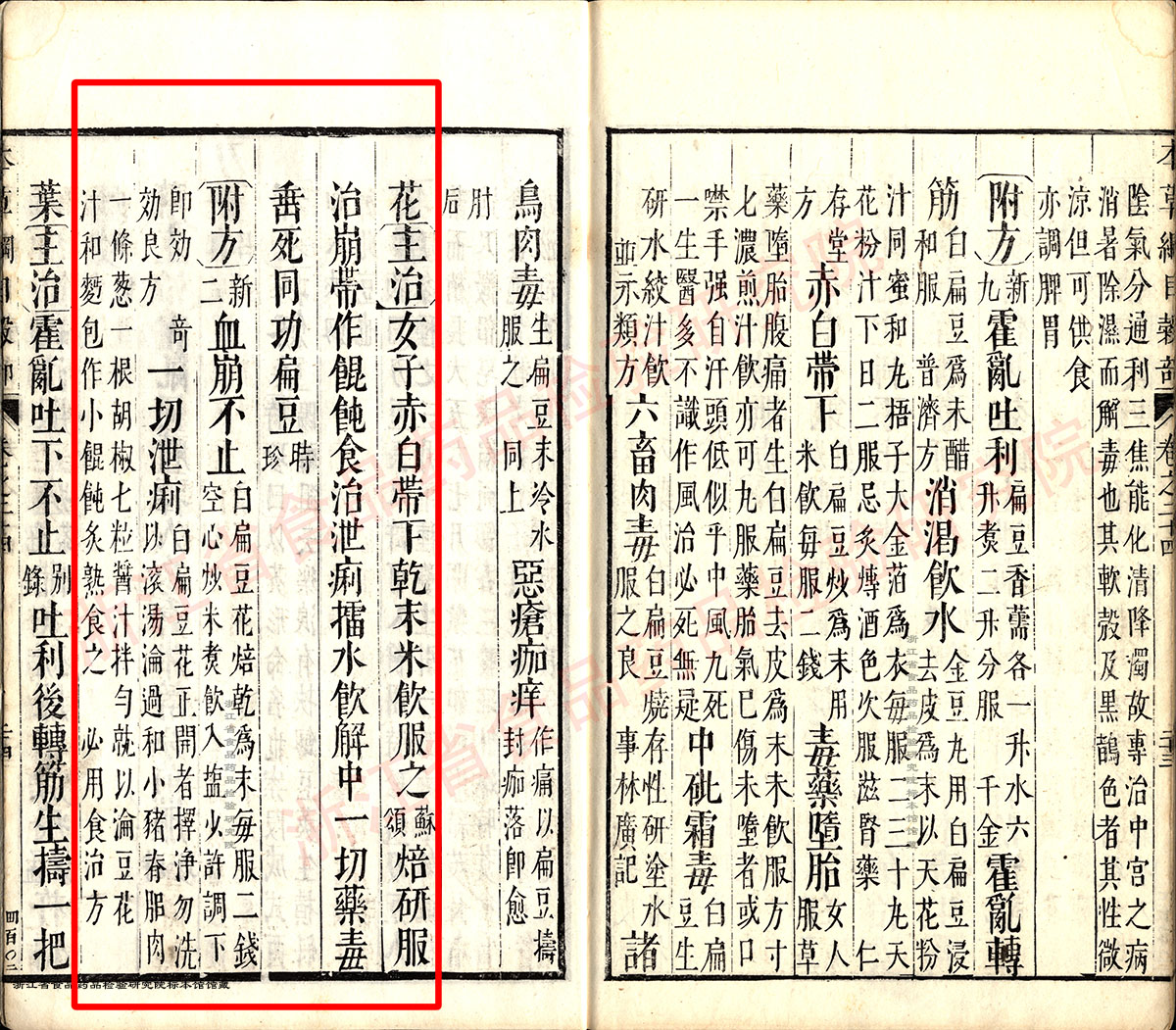 扁豆花 明 -《本草纲目》 资料图