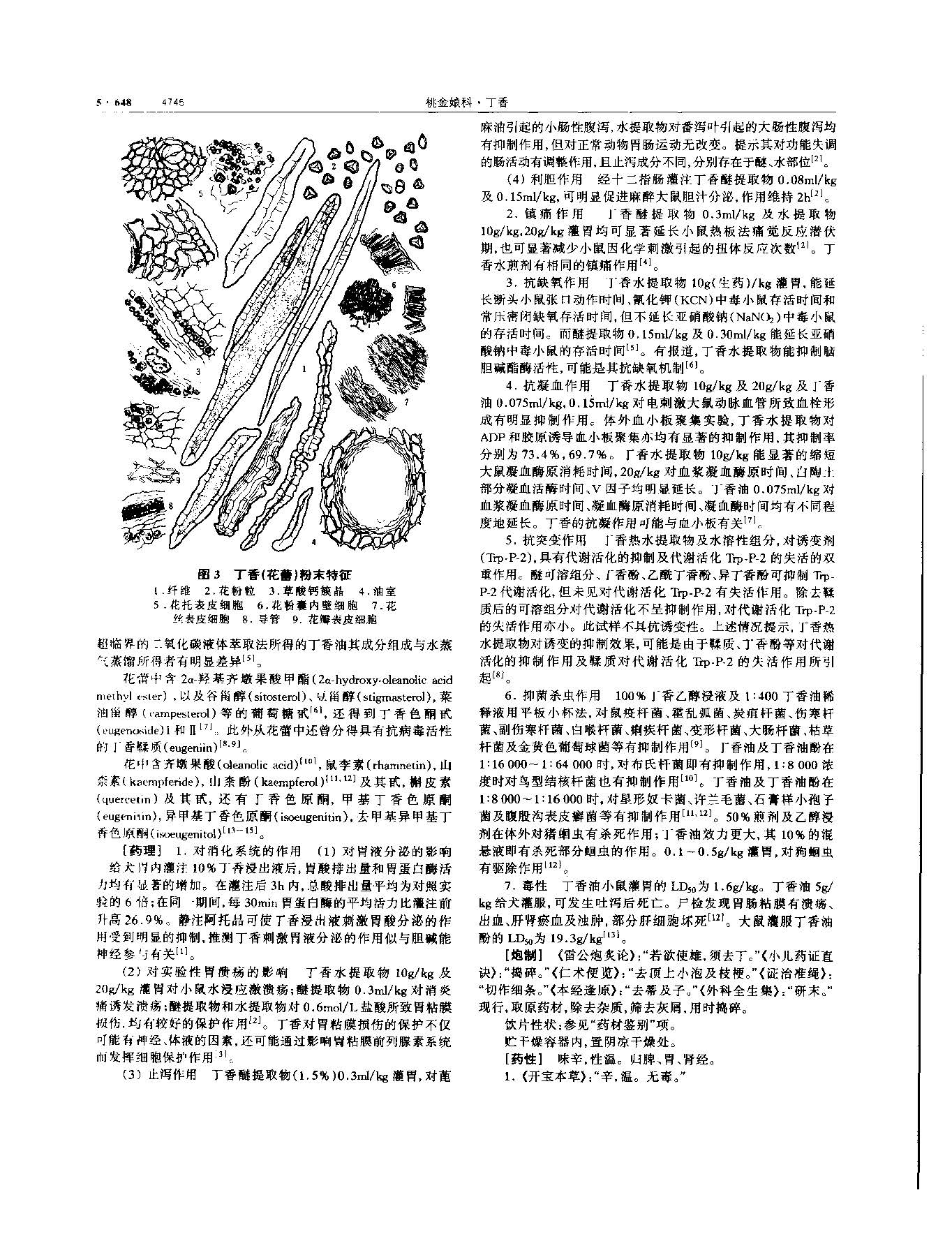 丁香 现代 《中华本草》 资料图