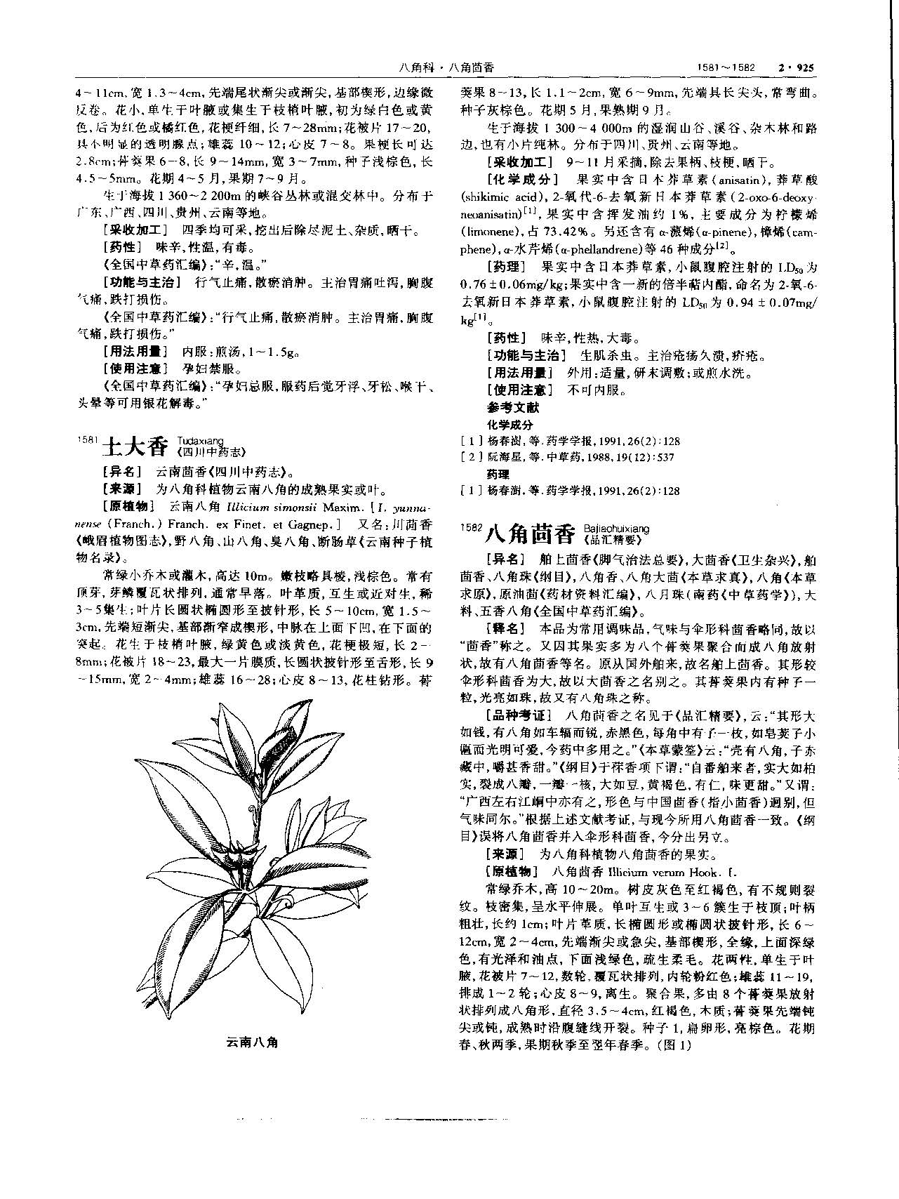 1694484455477033977.jpg 八角茴香 现代 《中华本草》 资料图