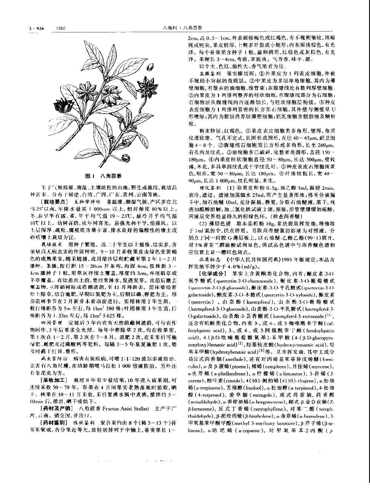 1694484464798072801.jpg 八角茴香 现代 《中华本草》 资料图