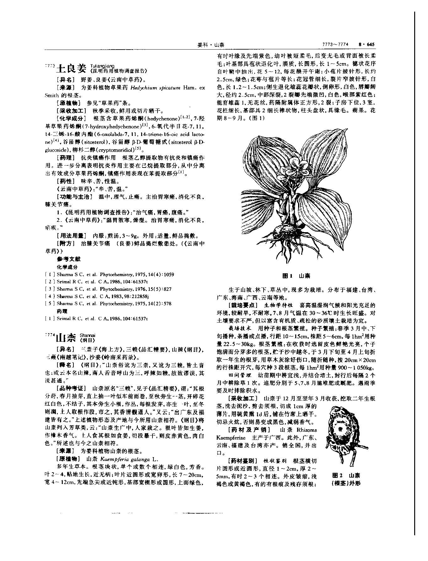 山柰 现代 《中华本草》 资料图