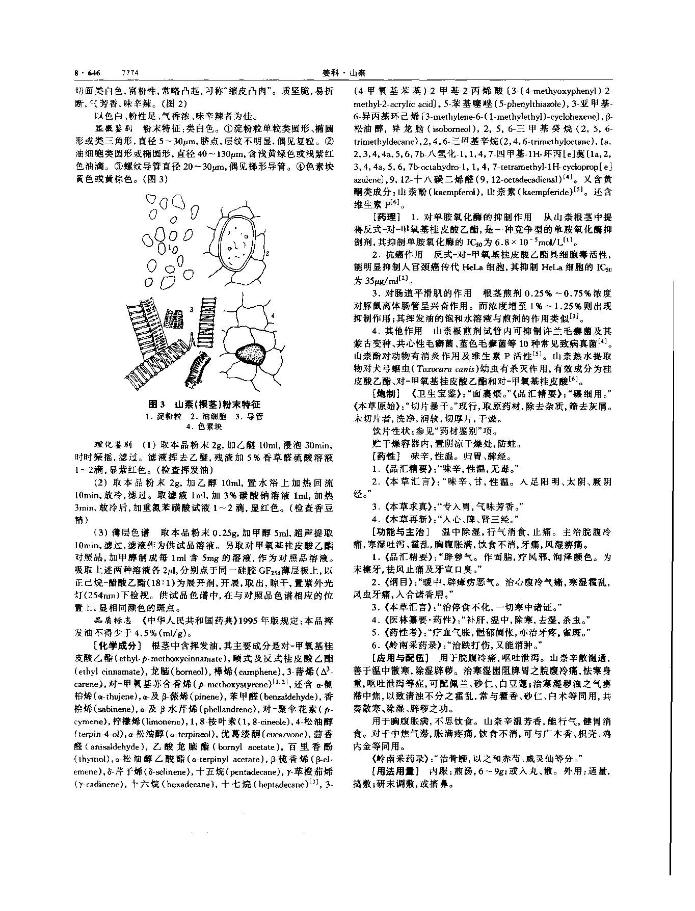 山柰 现代 《中华本草》 资料图