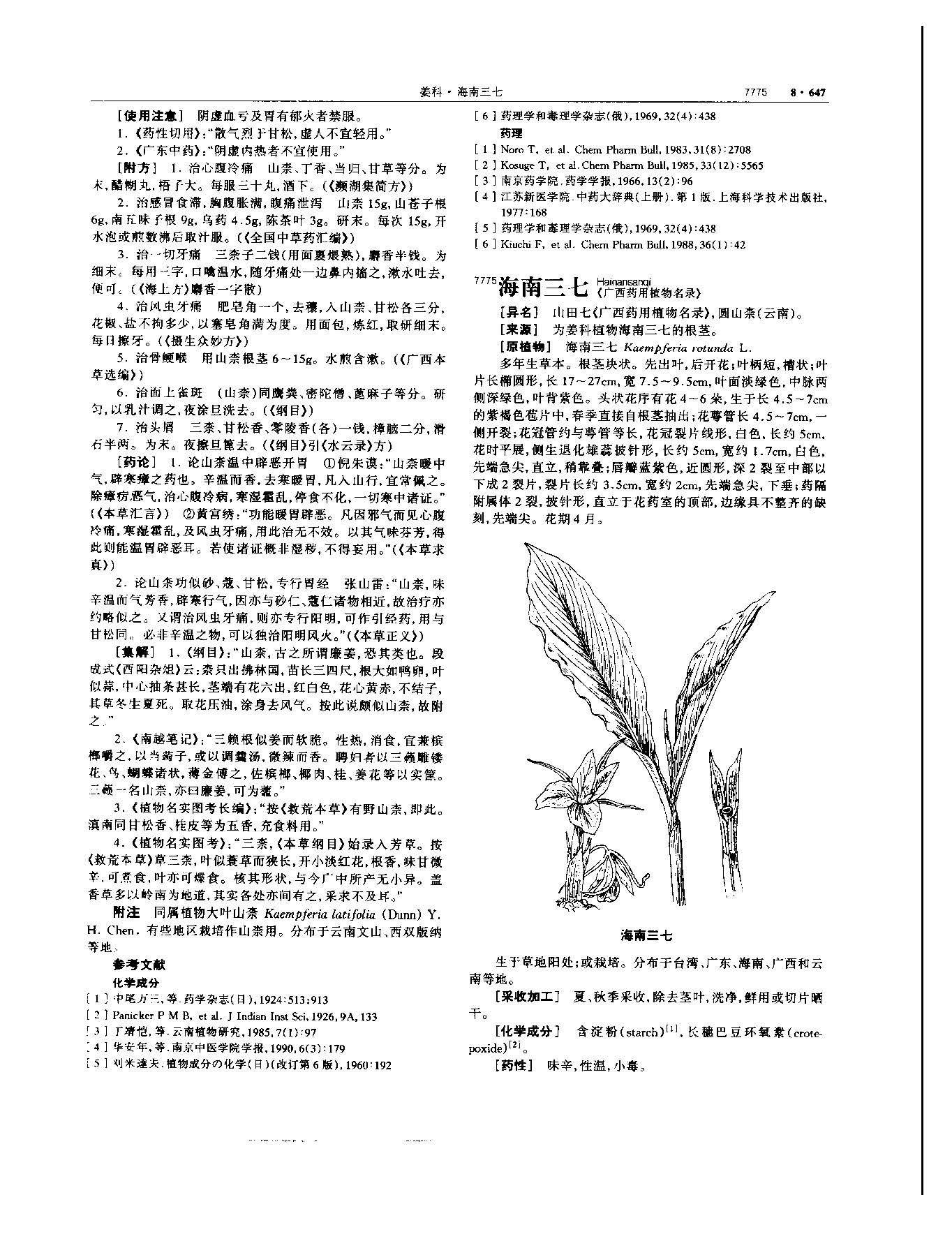 山柰 现代 《中华本草》 资料图