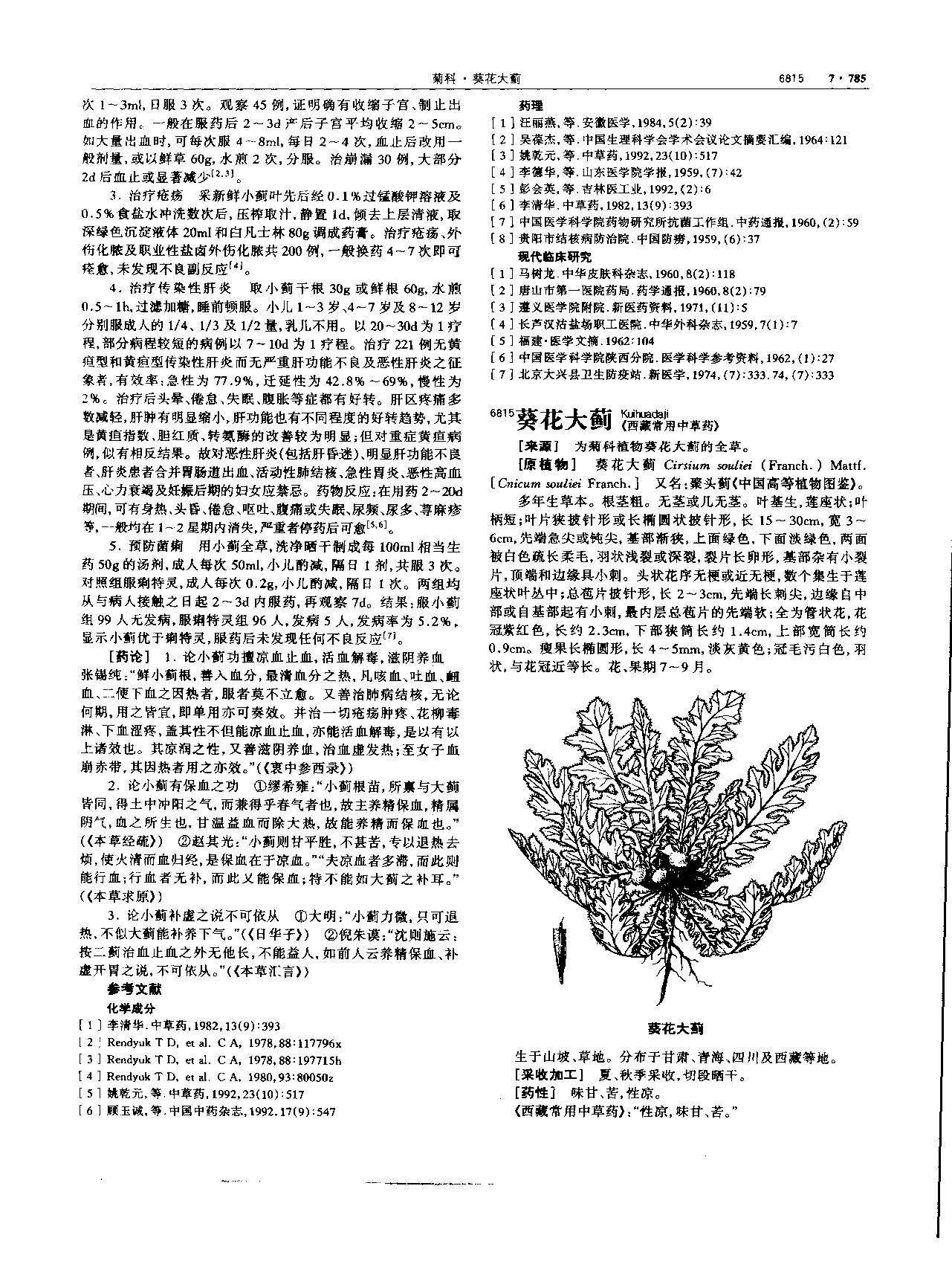 小蓟 现代 《中华本草》 资料图