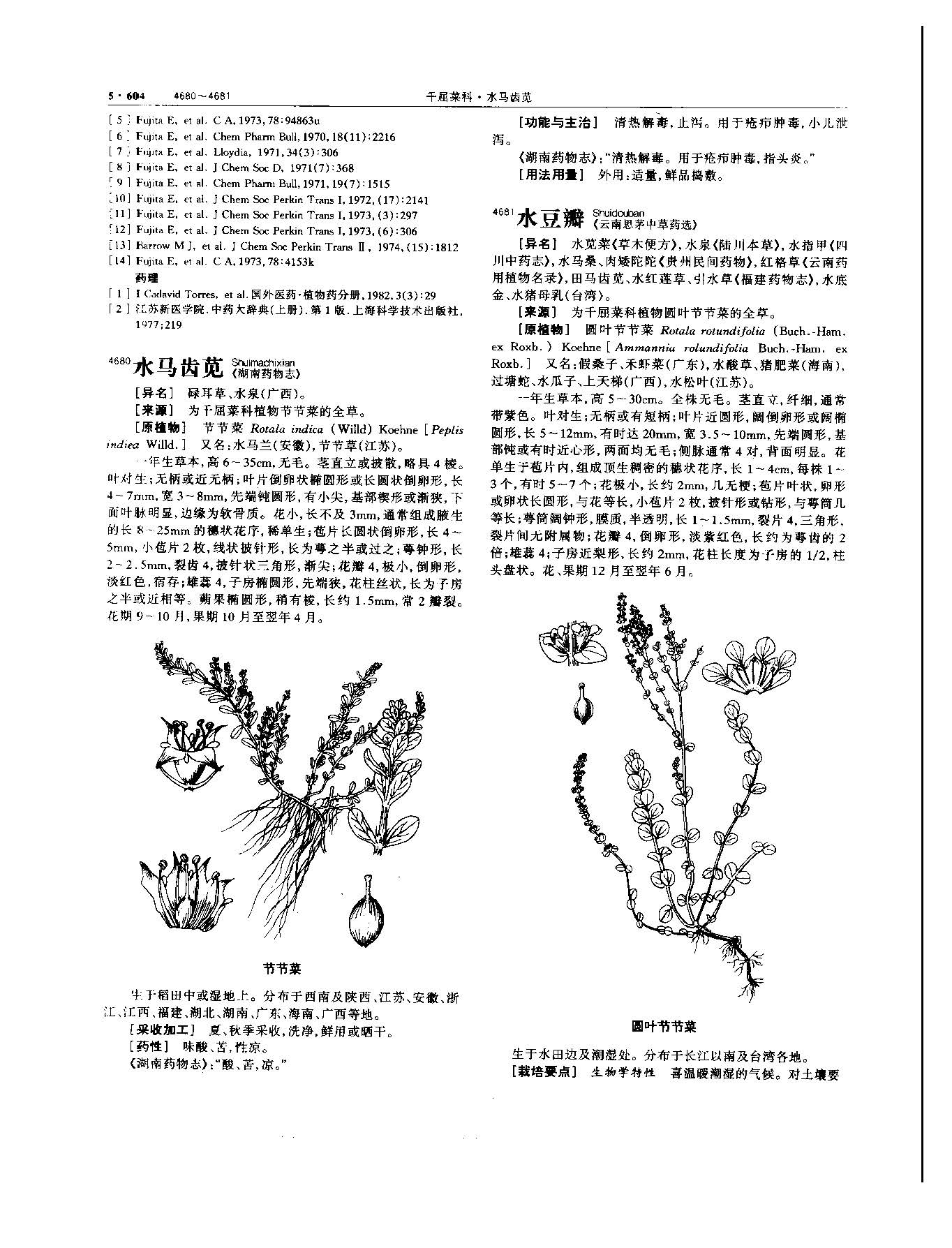 马齿苋 现代 -《中华本草》 资料图