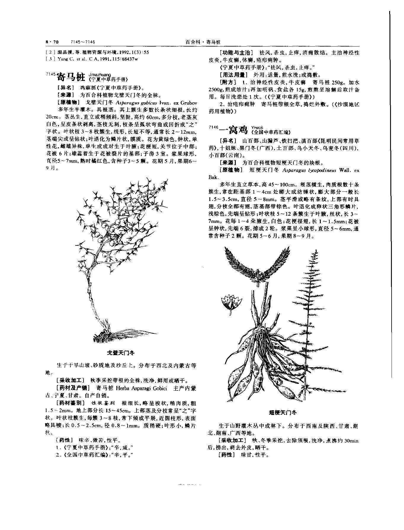 天冬 现代 《中华本草》 资料图