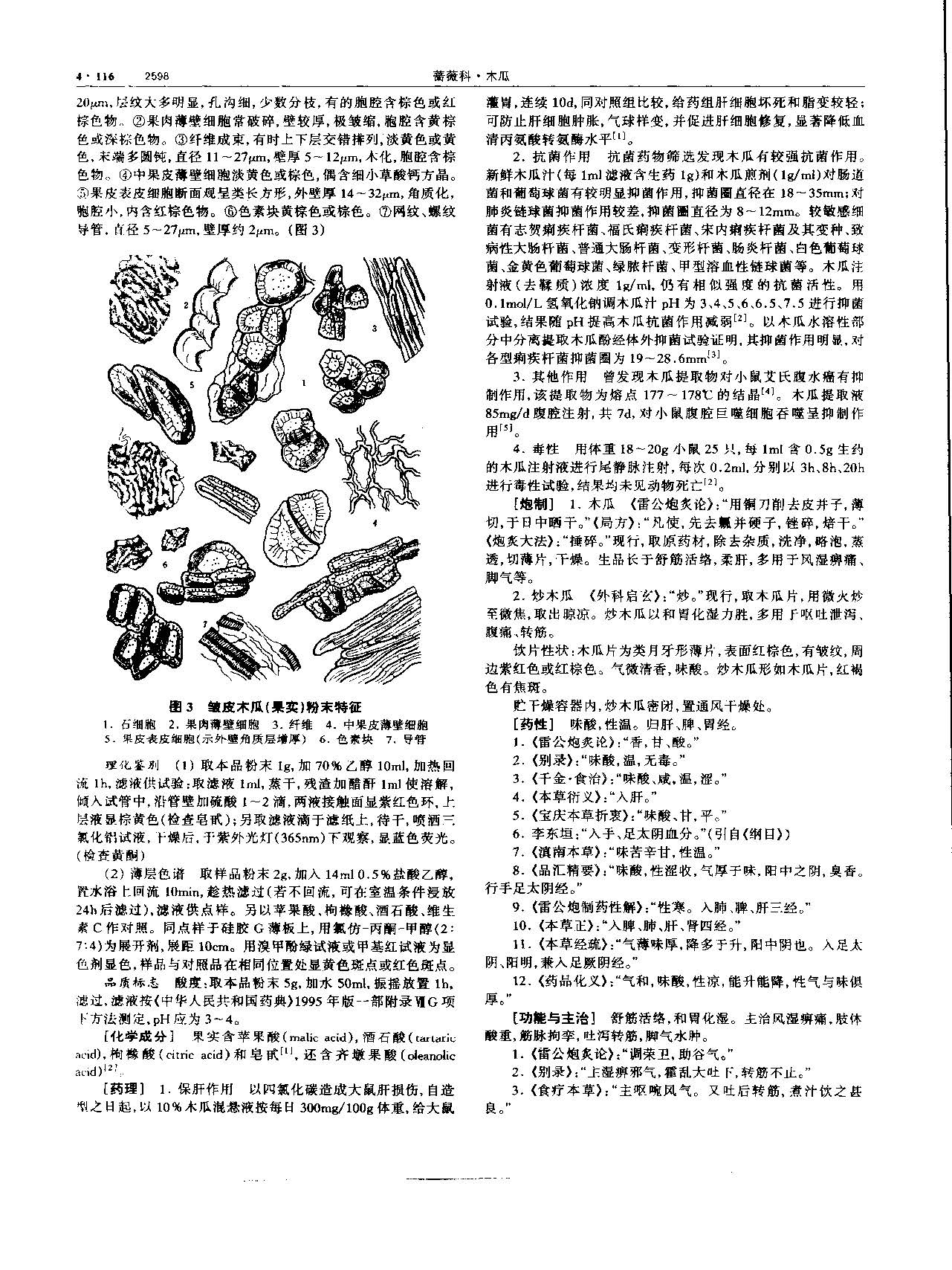 木瓜 现代 《中华本草》 资料图