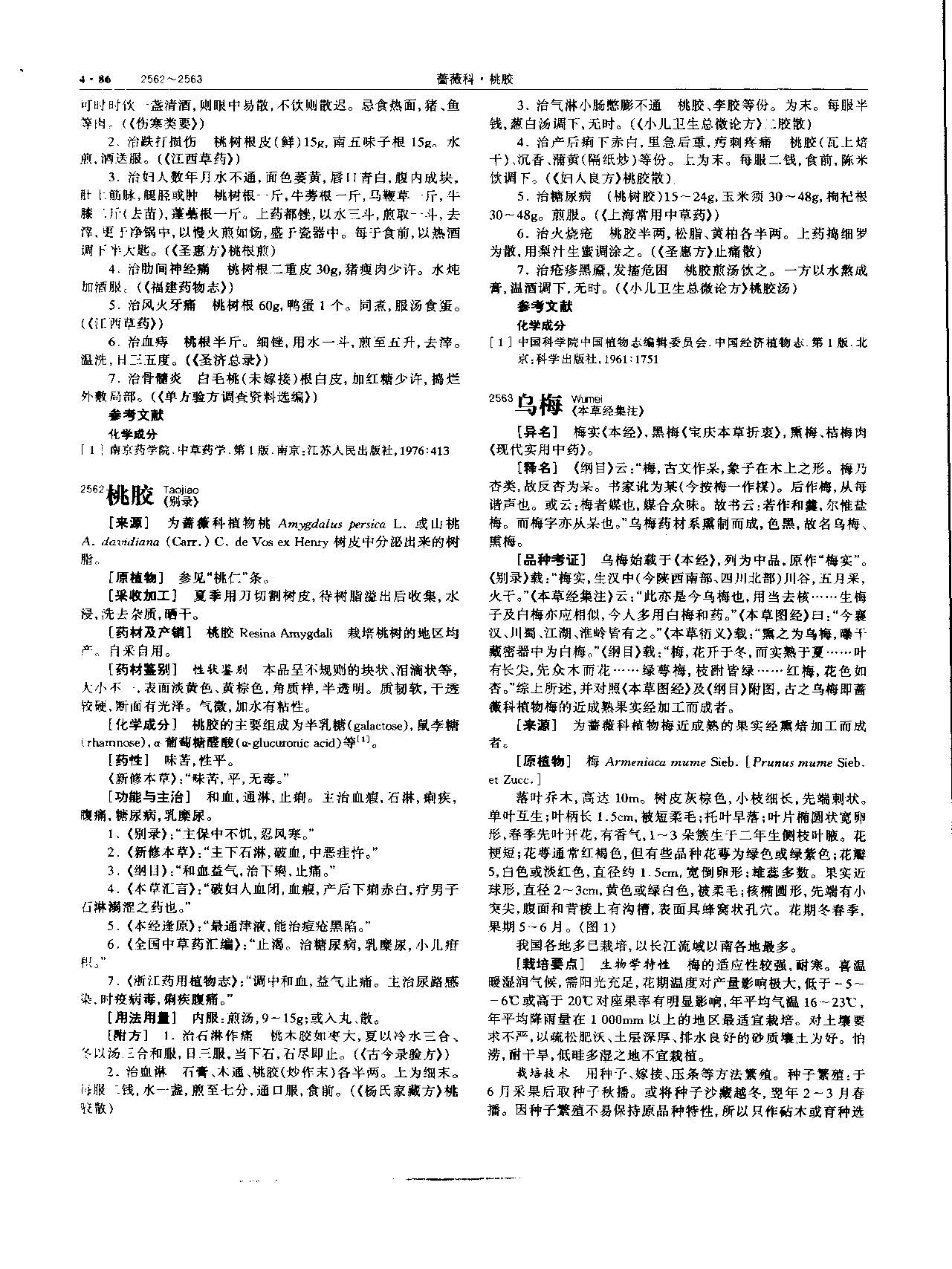 乌梅 现代-《中华本草》 资料图