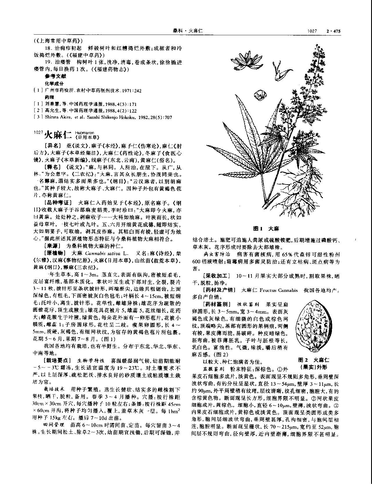 火麻仁 现代-《中华本草》 资料图