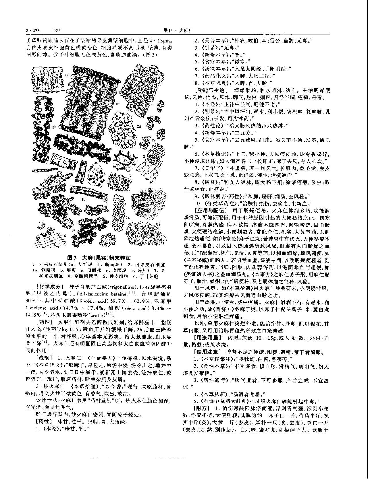 火麻仁 现代-《中华本草》 资料图