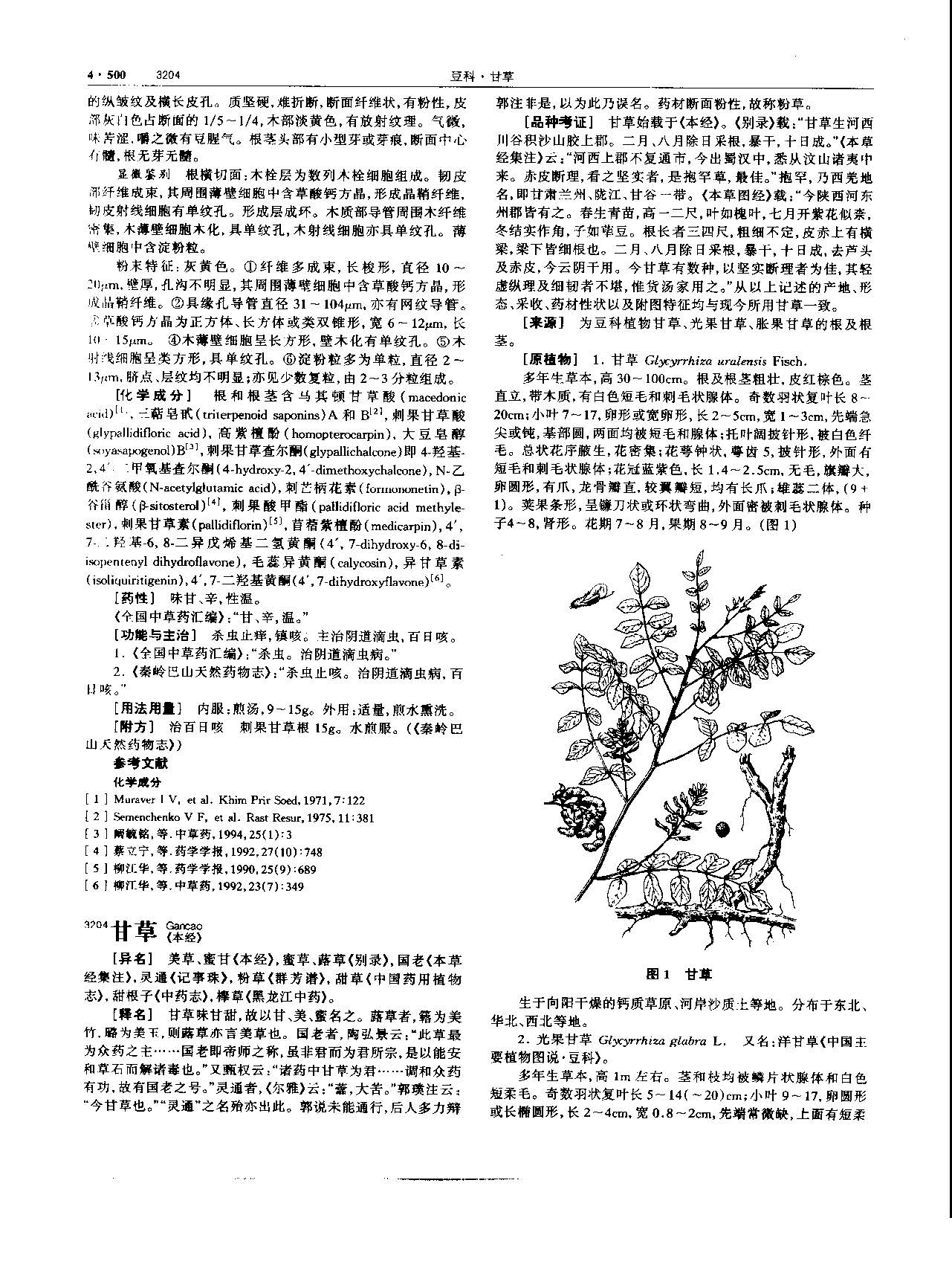 甘草 现代-《中华本草》 资料图