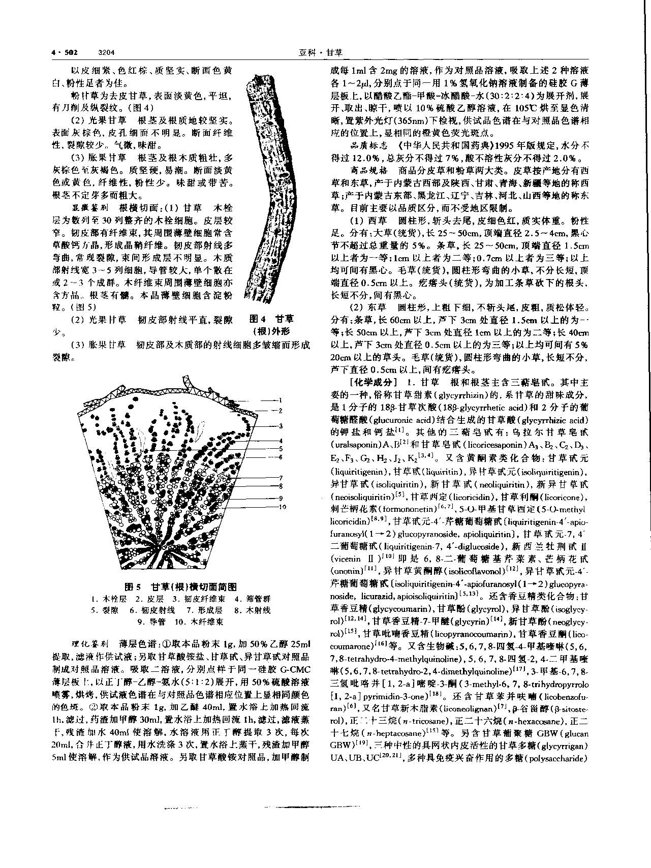 甘草 现代-《中华本草》 资料图