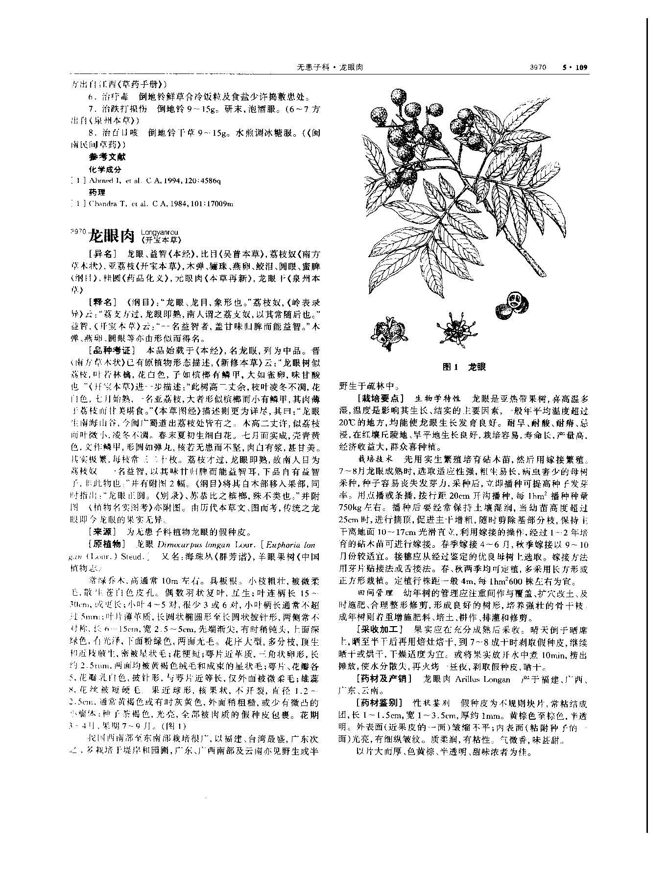 1694741104075064295.jpg 龙眼肉 现代-《中华本草》 资料图