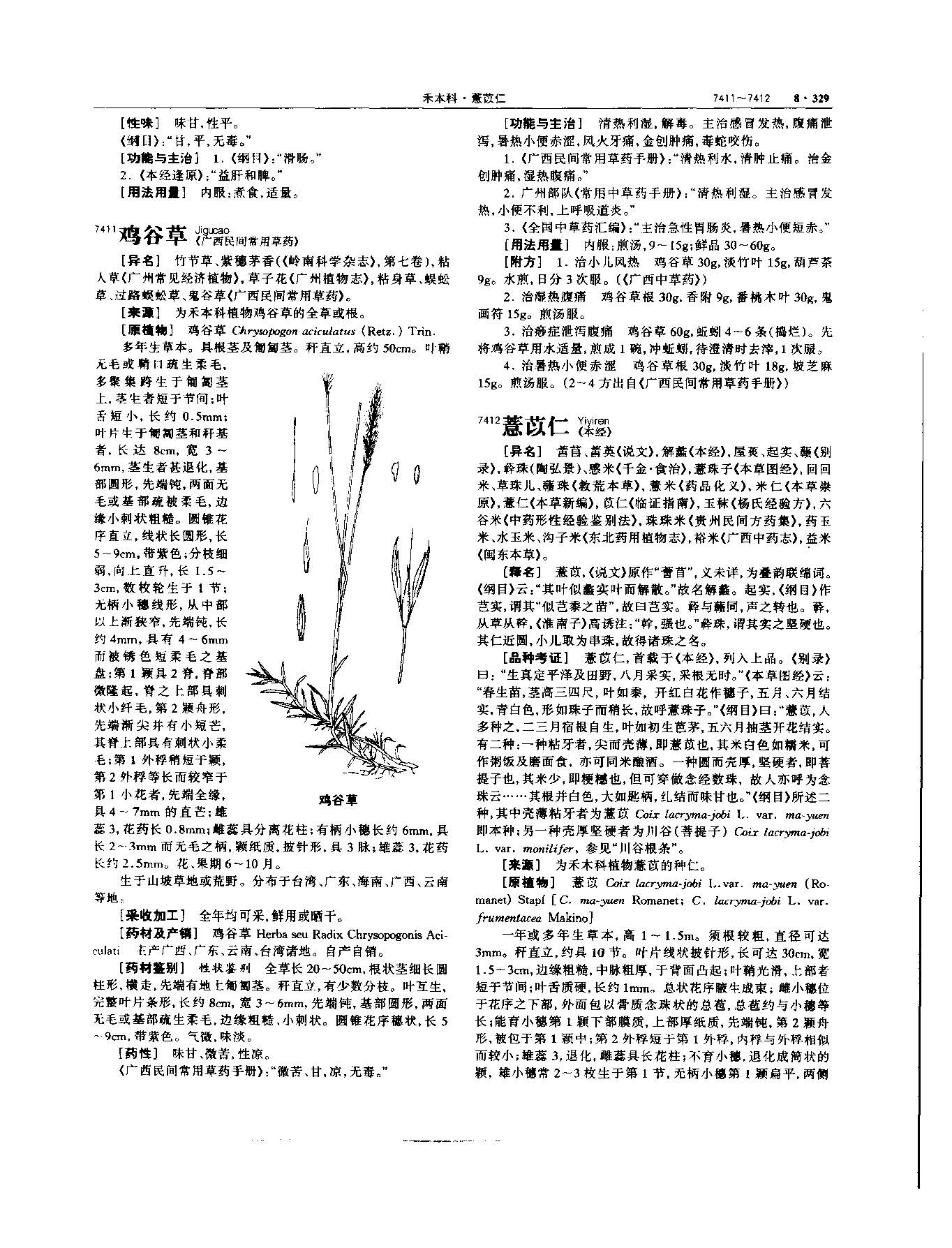 薏苡仁 现代-《中华本草》 资料图