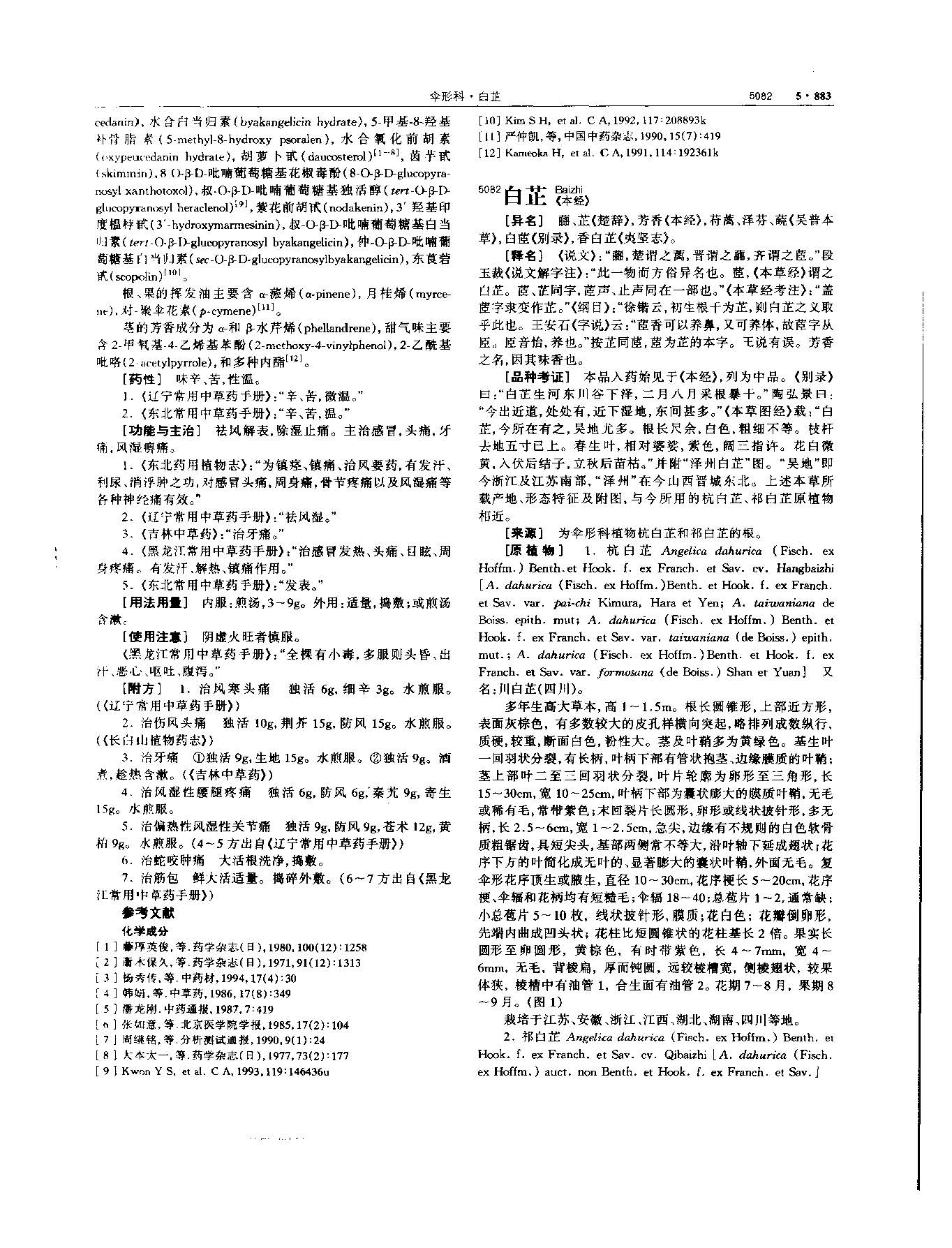 白芷 现代-《中华本草》 资料图