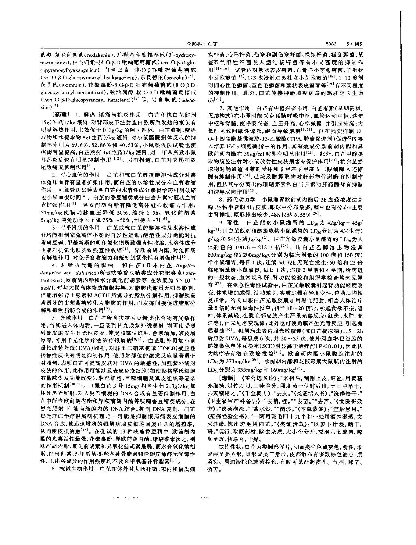 白芷 现代-《中华本草》 资料图