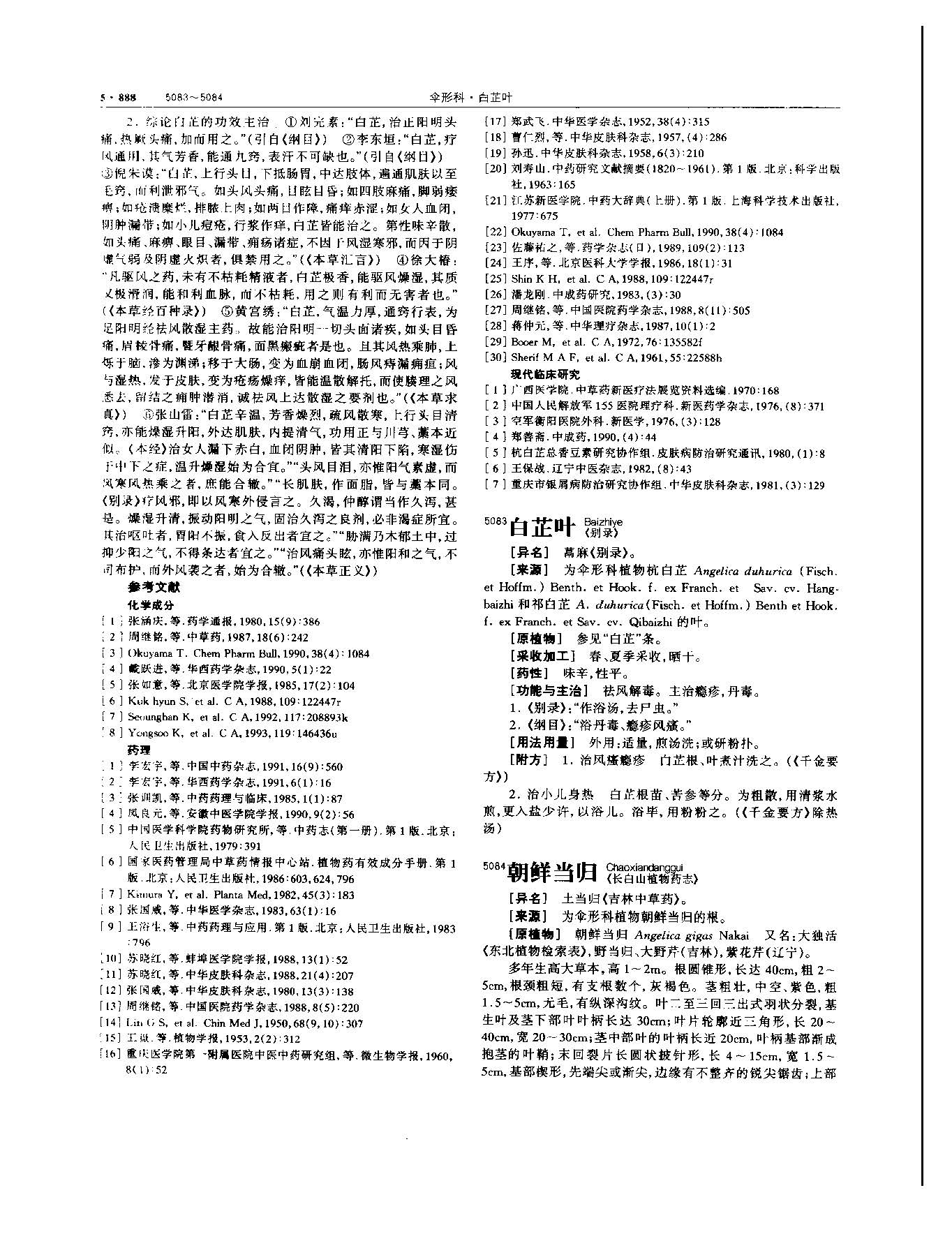 白芷 现代-《中华本草》 资料图