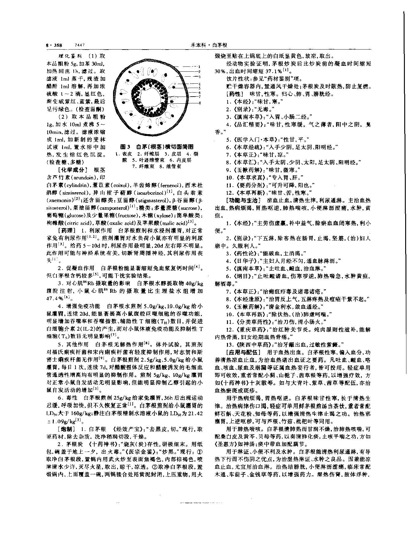 白茅根 现代-《中华本草》 资料图