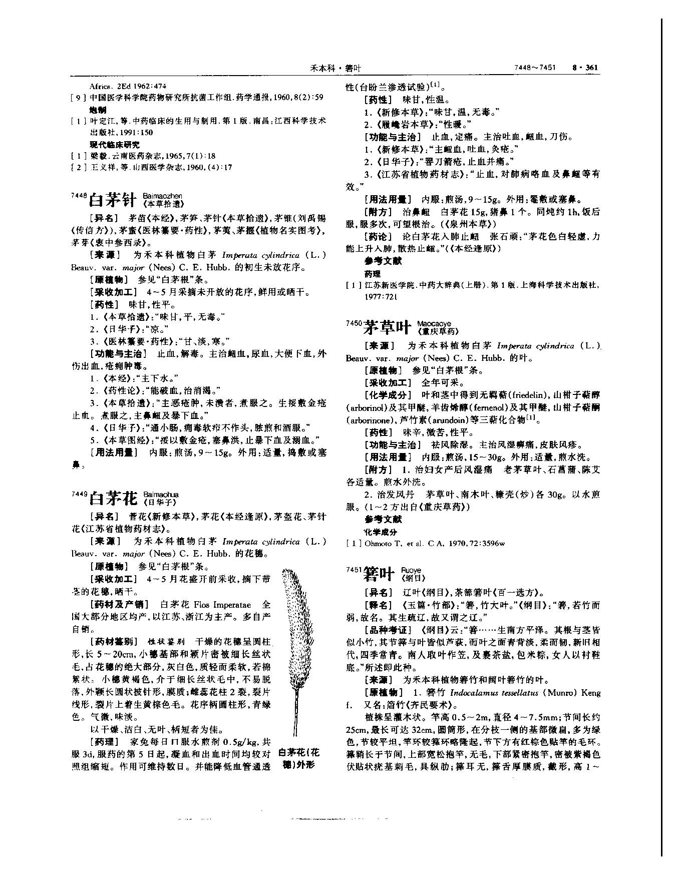 白茅根 现代-《中华本草》 资料图