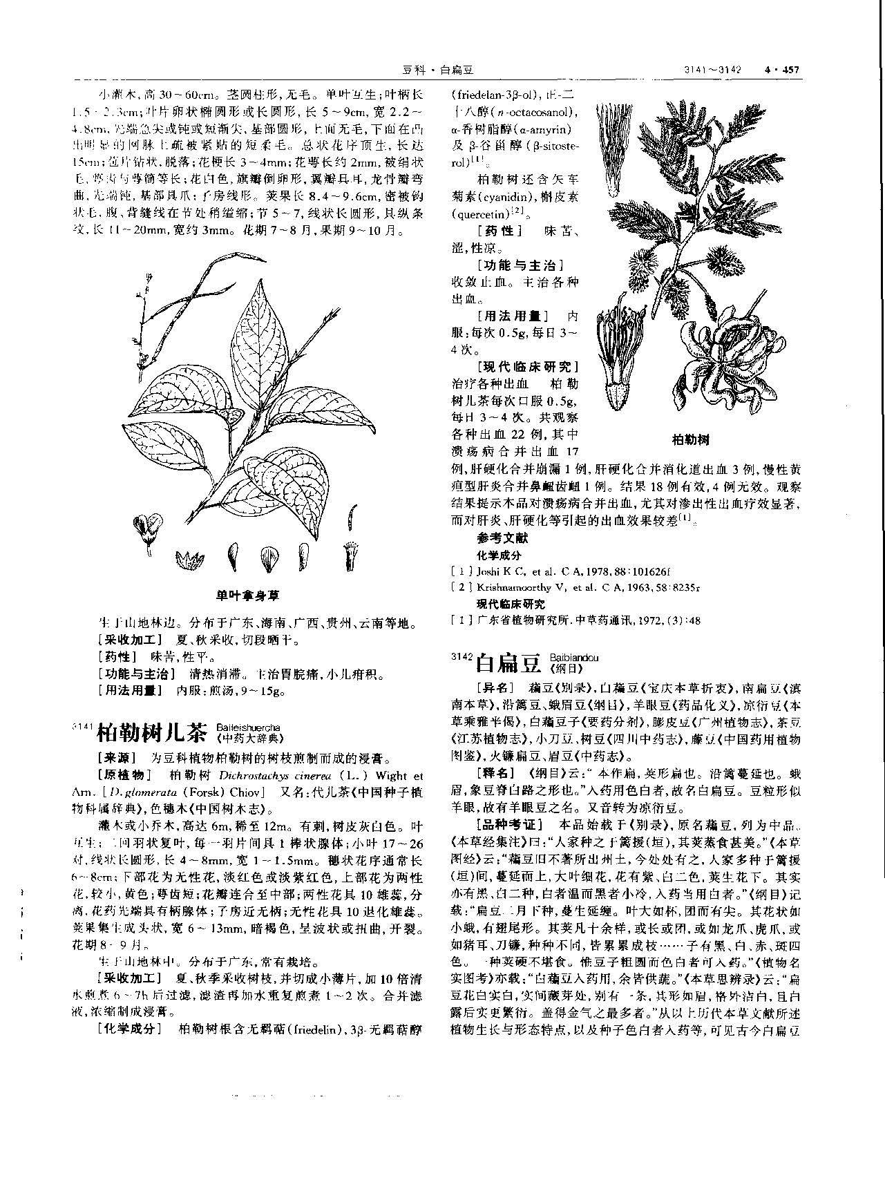 白扁豆 现代 《中华本草》 资料图