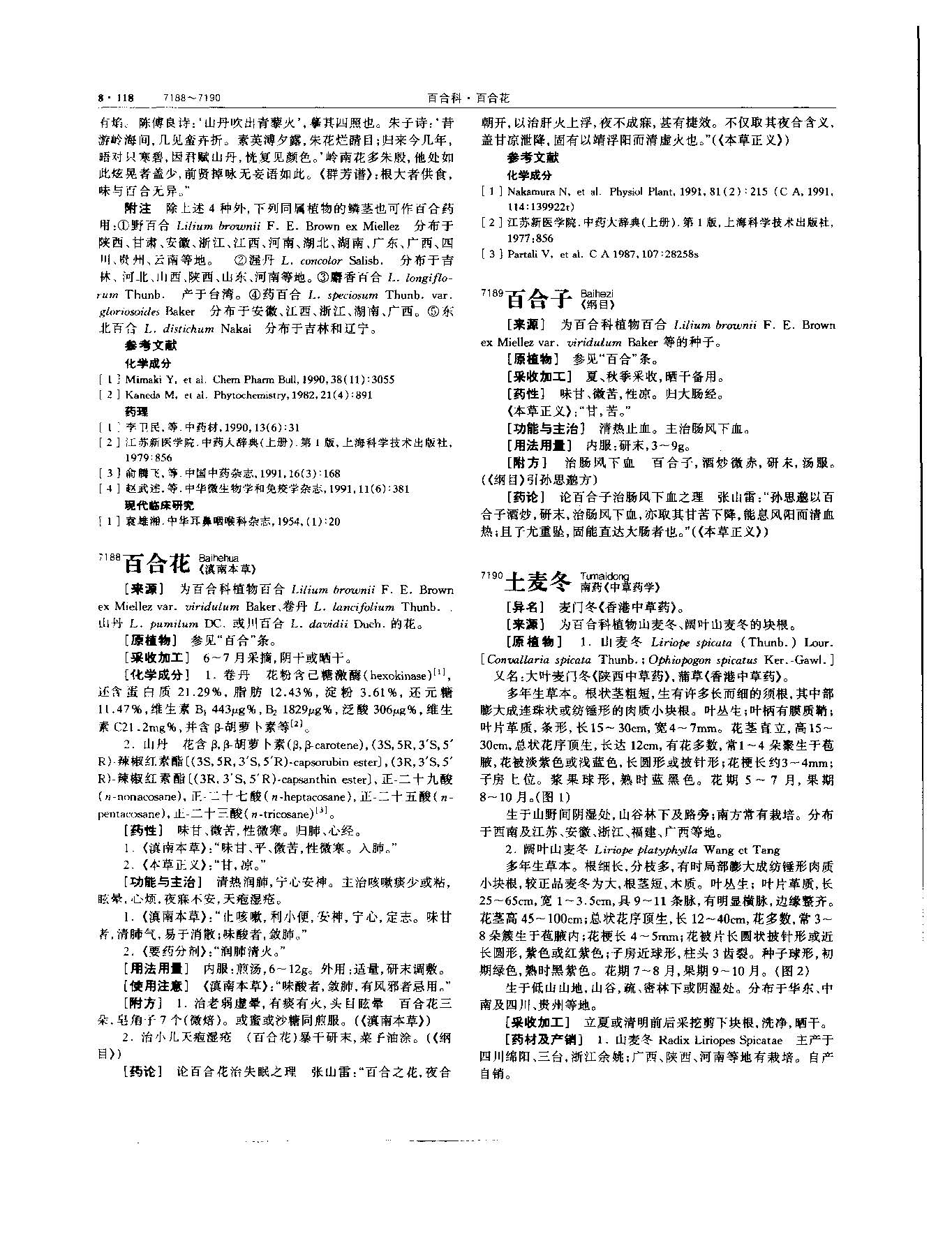百合 现代 《中华本草》 资料图