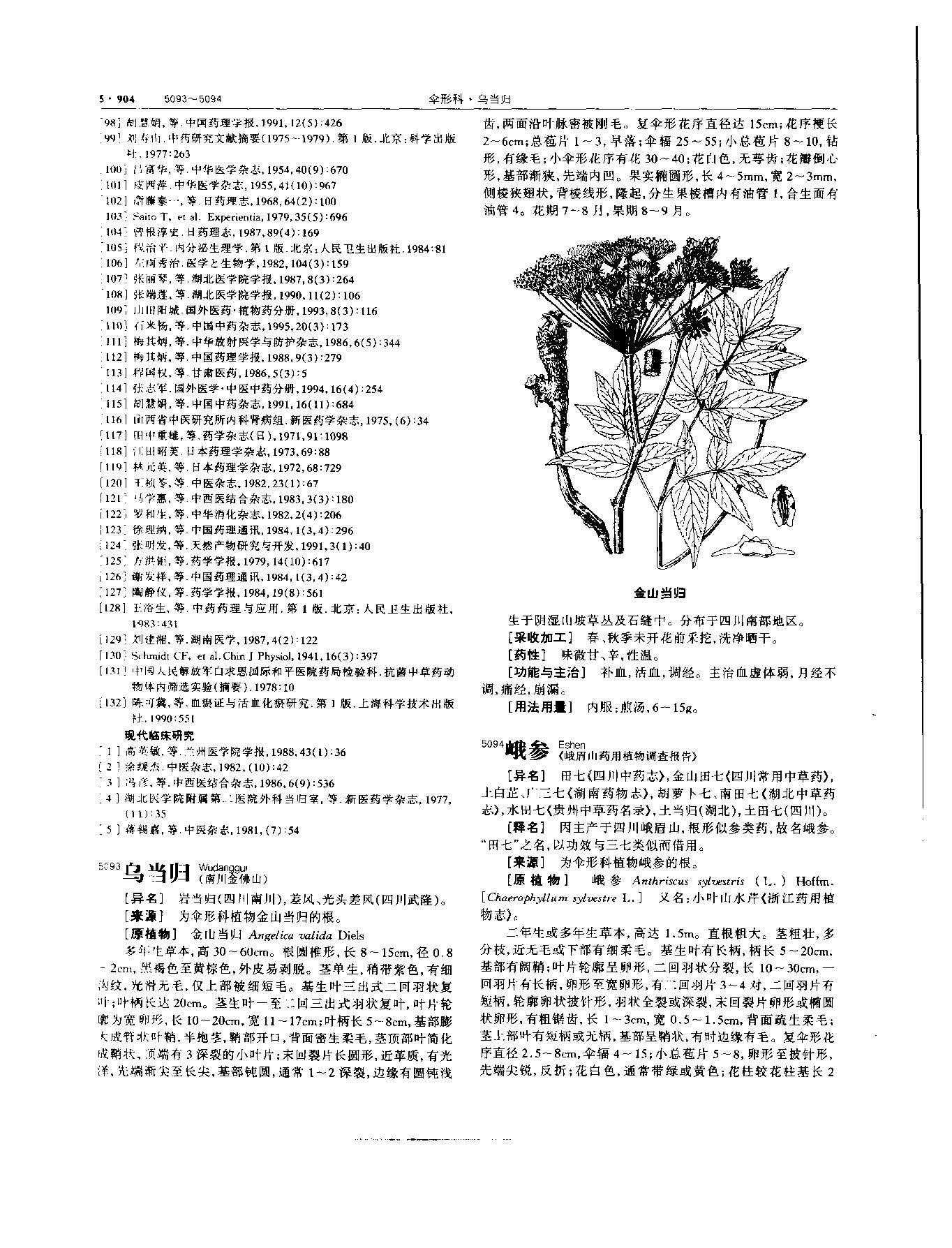 当归 现代 《中华本草》 资料图
