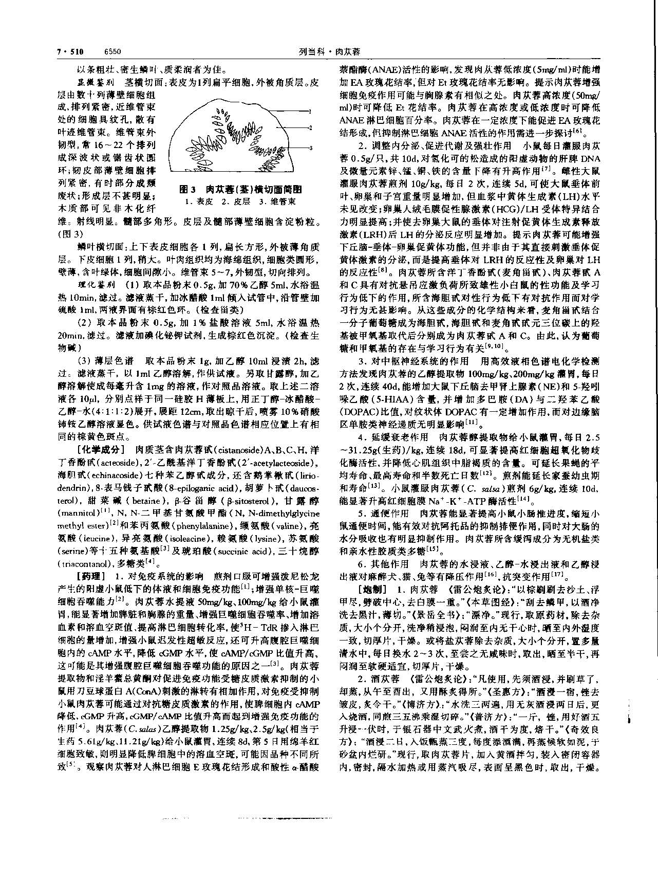 肉苁蓉 现代 《中华本草》 资料图