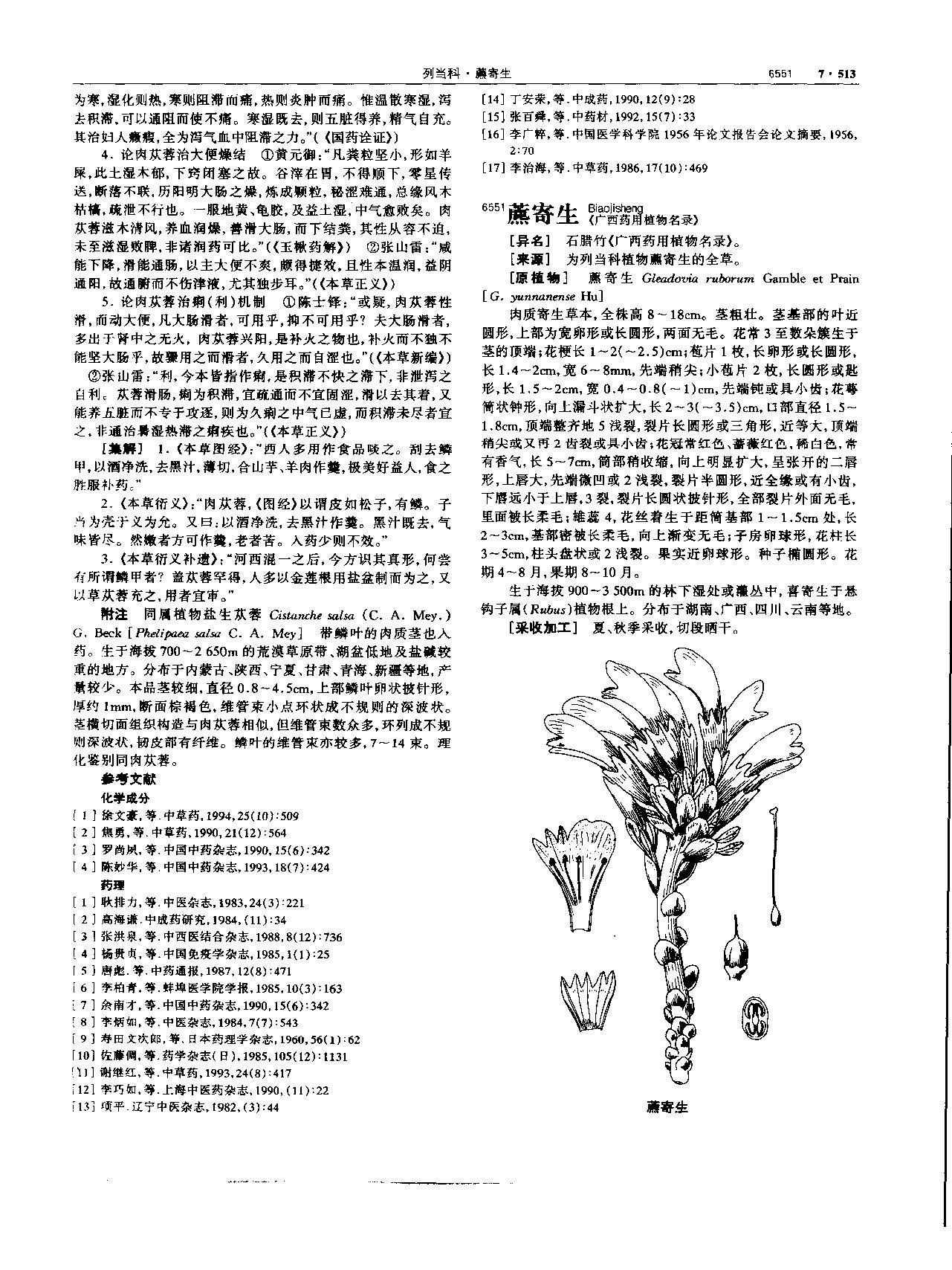 肉苁蓉 现代 《中华本草》 资料图
