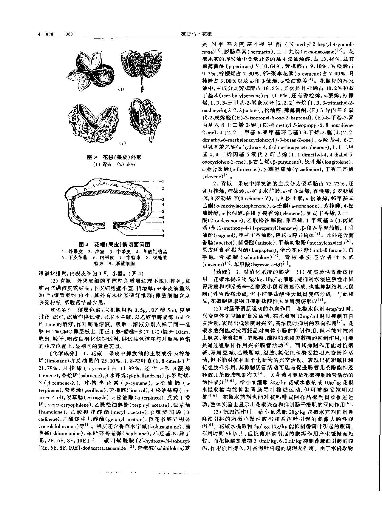 1695173835935047850.jpg 花椒 现代 《中华本草》 资料图