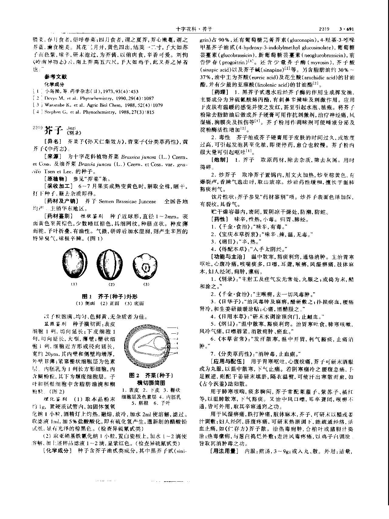 芥子 现代 《中华本草》 资料图