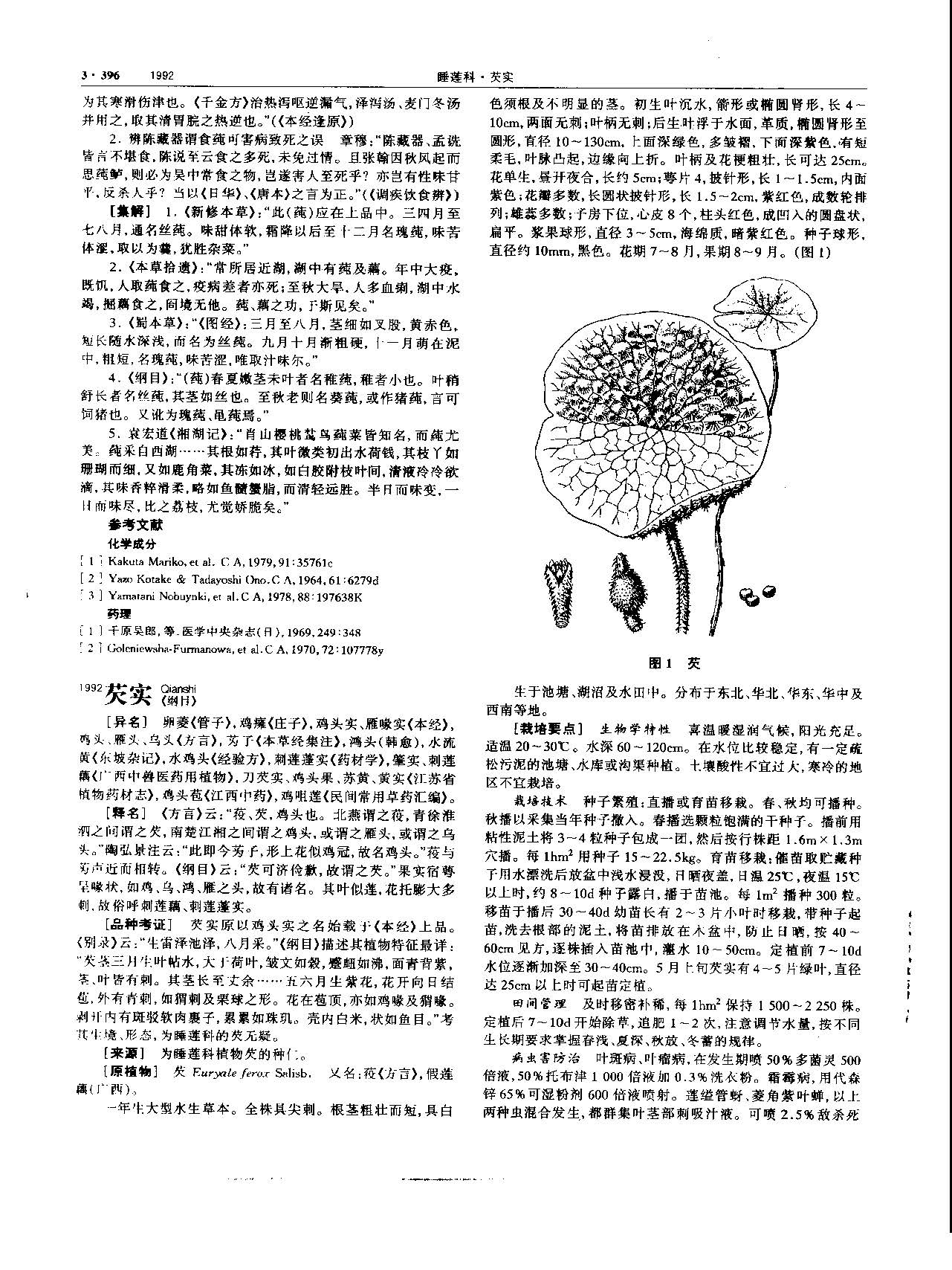 芡实 现代 《中华本草》 资料图