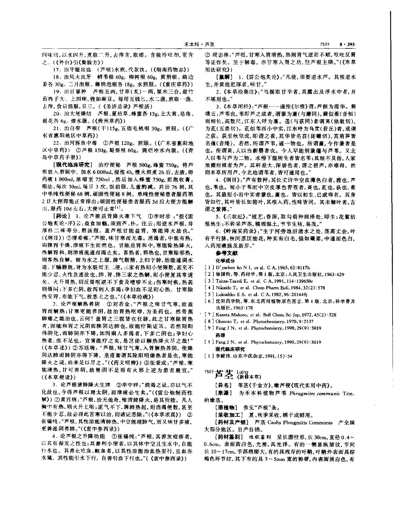 芦根 现代 《中华本草》 资料图