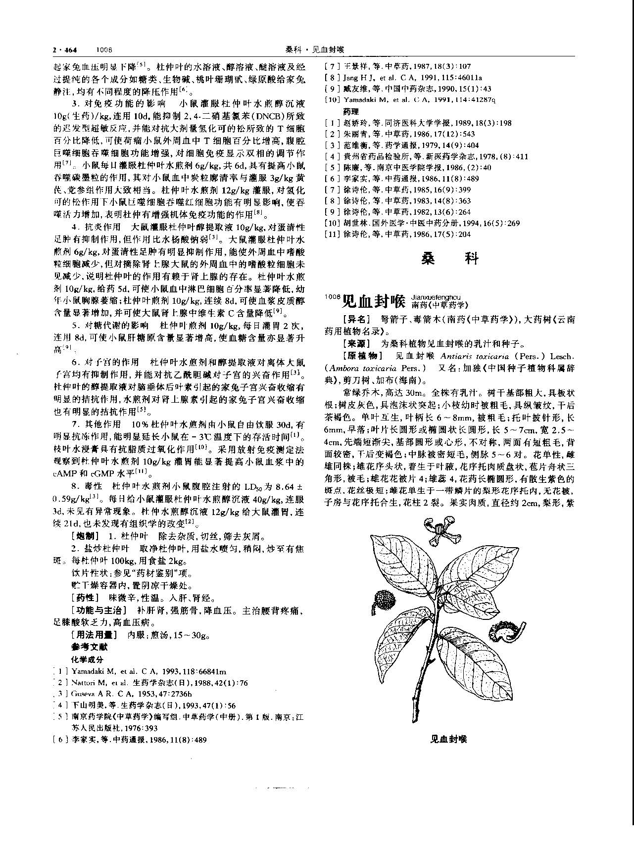杜仲叶 现代 《中华本草》 资料图