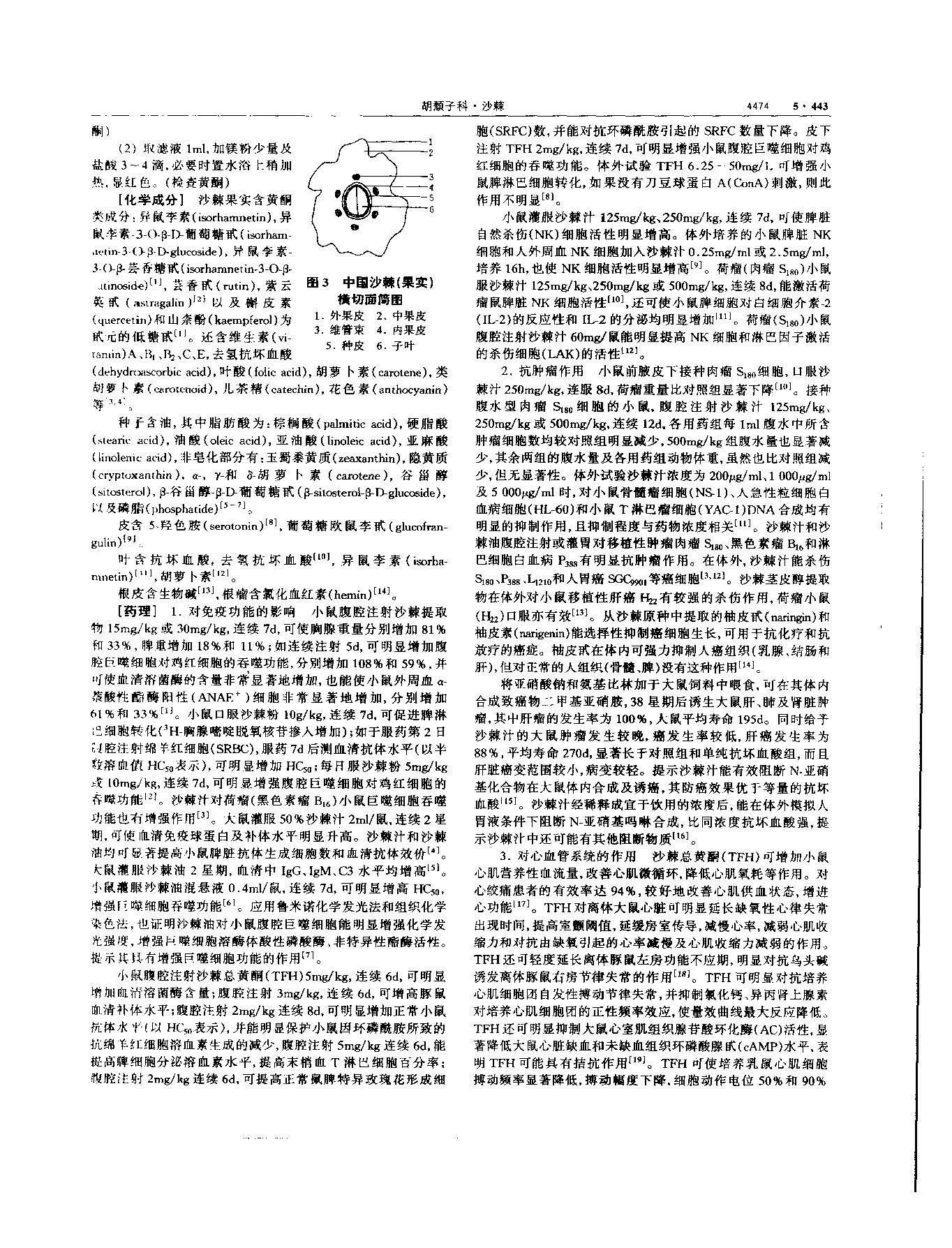 沙棘 现代 《中华本草》 资料图