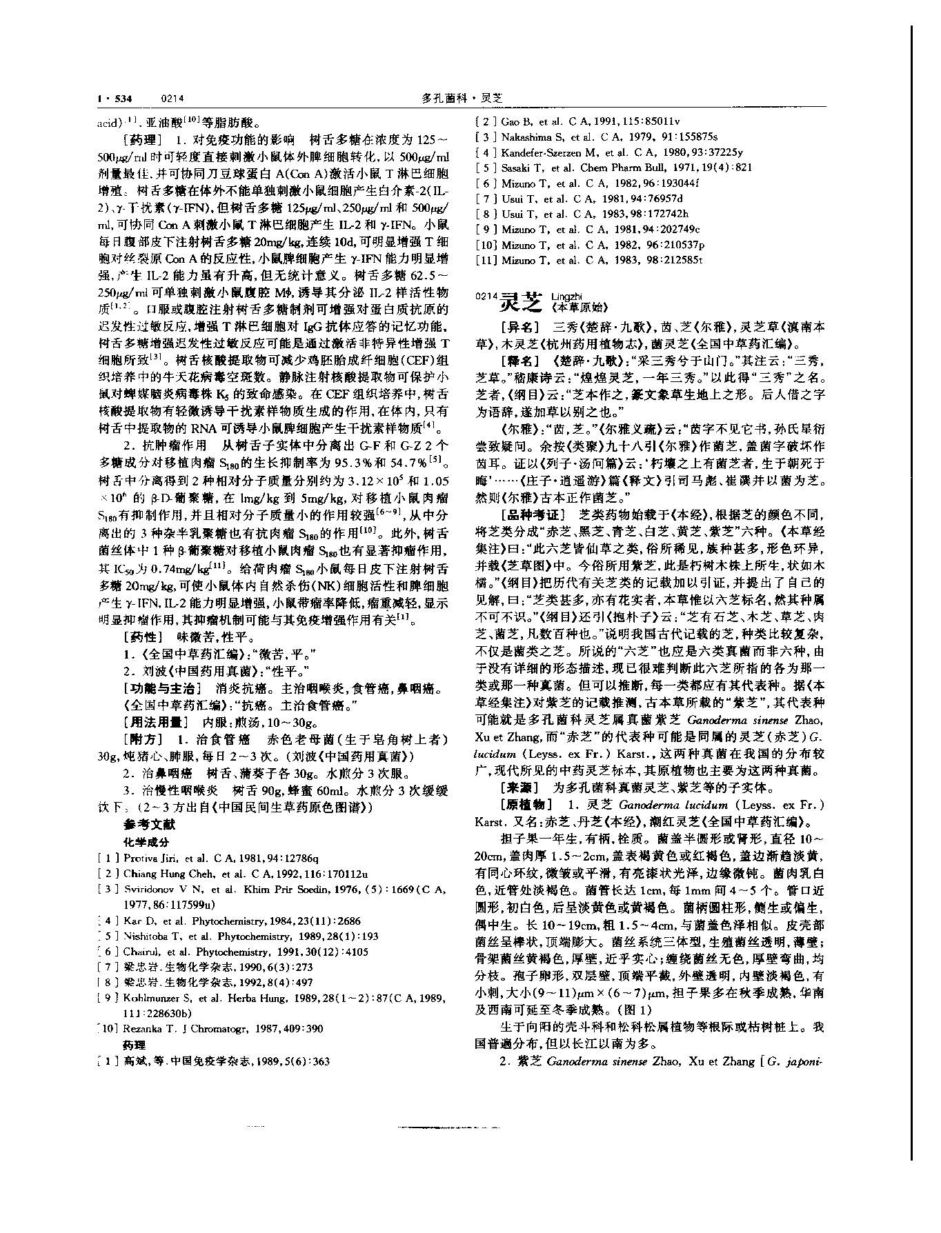 灵芝 现代 《中华本草》 资料图