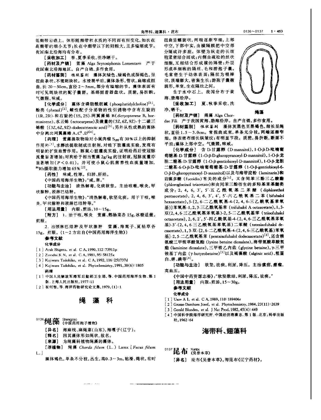 昆布 现代-《中华本草》 资料图